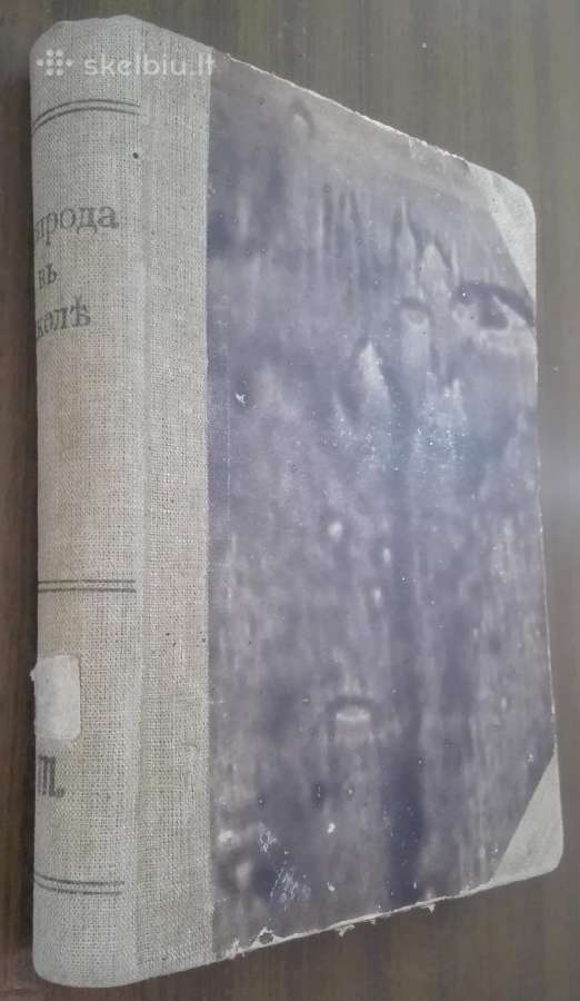 Дома, Въ Школђ, Въ Лђсу, Въ Ролђ 1914 m.