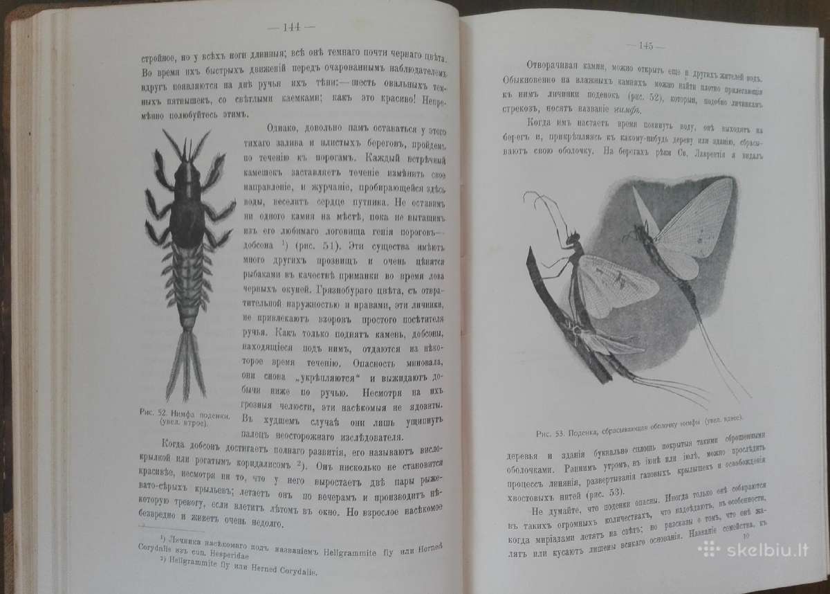 Дома, Въ Школђ, Въ Лђсу, Въ Ролђ 1914 m. - nuotraukos Nr. 3