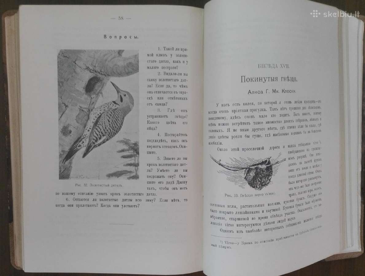 Дома, Въ Школђ, Въ Лђсу, Въ Ролђ 1914 m. - nuotraukos Nr. 5