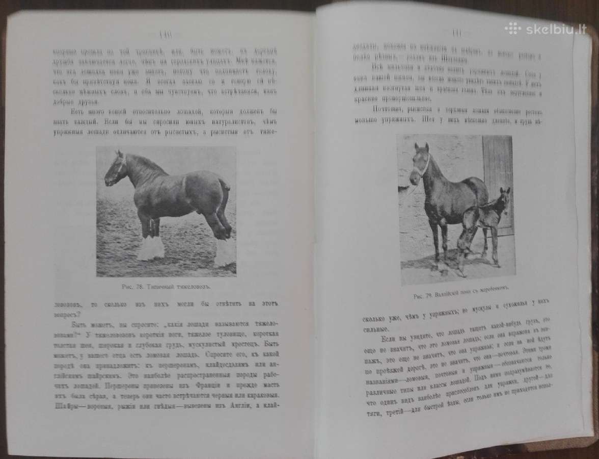 Дома, Въ Школђ, Въ Лђсу, Въ Ролђ 1914 m. - nuotraukos Nr. 6
