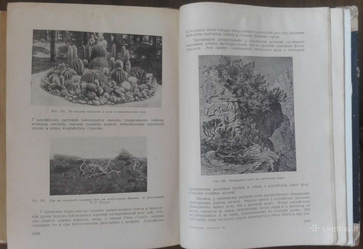 кУрс Общей Ботаники Любименко В. Н. 1923 m. - nuotraukos Nr. 4