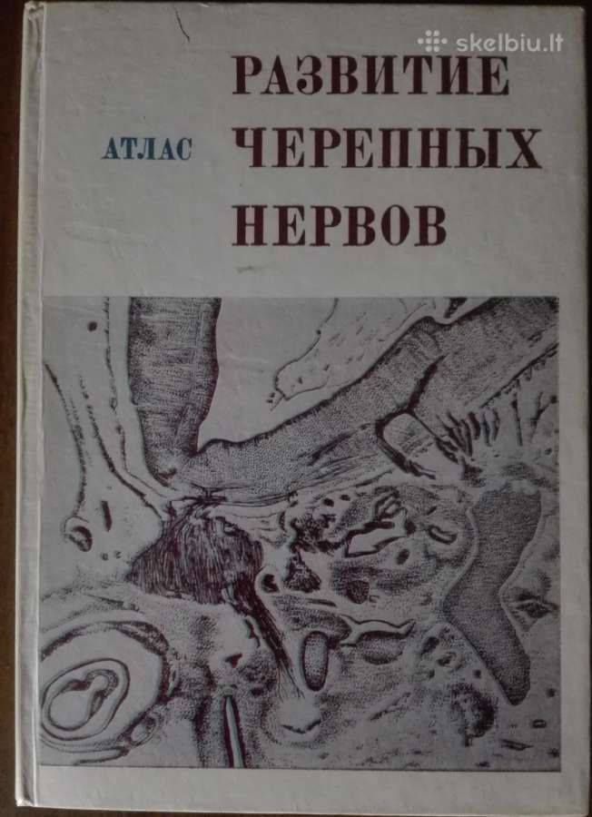 Атлас Развитие Черепных Нервов