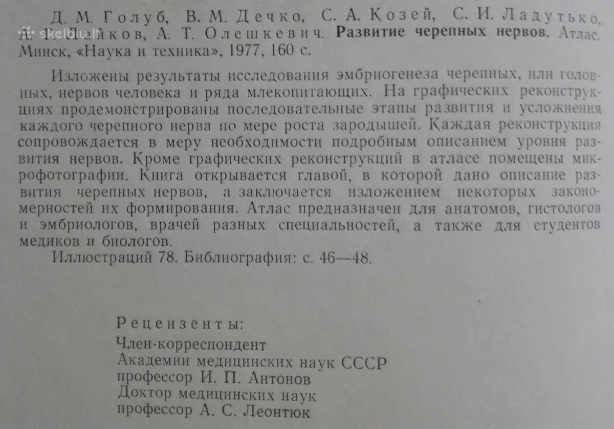 Атлас Развитие Черепных Нервов - nuotraukos Nr. 3