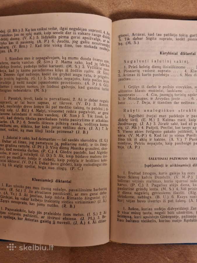 Diktantai VIII - IX klasei - nuotraukos Nr. 4