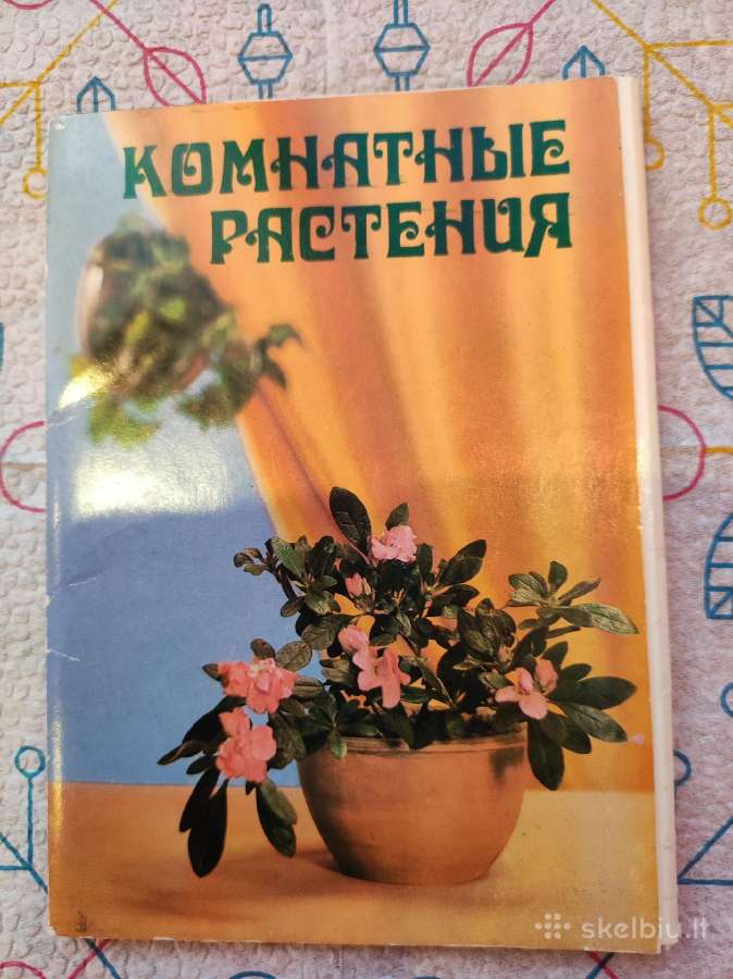 Atvirukų rinkinys. Kambariniai augalai - nuotraukos Nr. 4