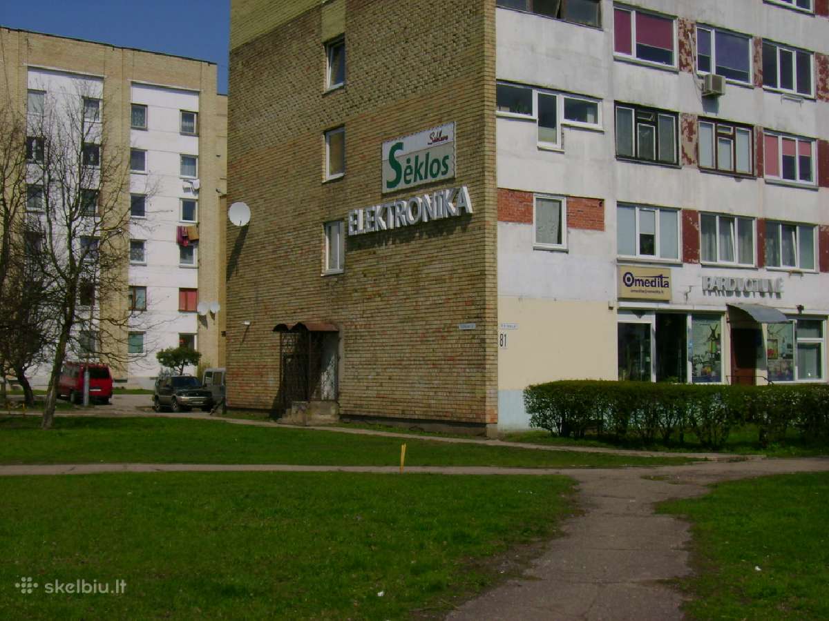 Pigios antenos soduose, vienkiemiuose - nuotraukos Nr. 5