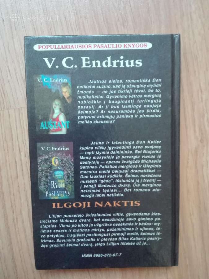 Ilgoji naktis V. C. Endrius - nuotraukos Nr. 3