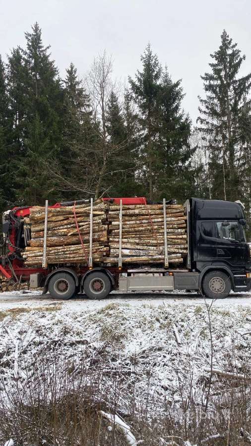 Malkos pigiau! Beržas,uosis,ąžuolas,juodalksnis. - nuotraukos Nr. 20