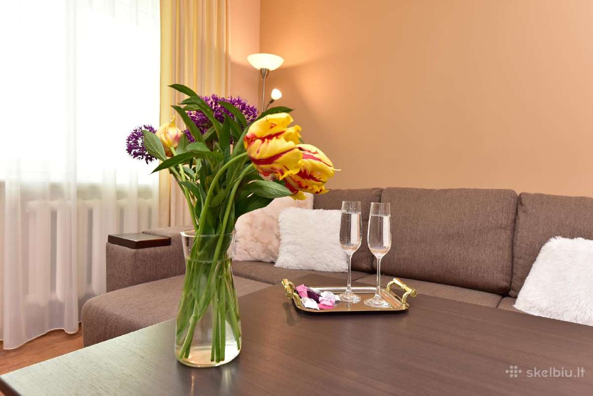 Oksanos apartamentai centre+privatus įėjimas+ac - nuotraukos Nr. 4