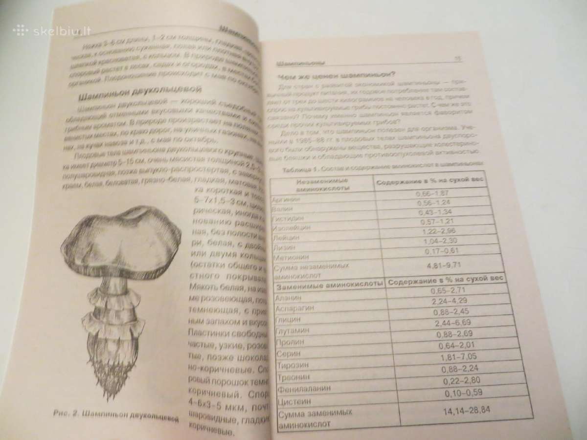 Knyga Grybų auginimas šampinjonai šiitake 2003 - nuotraukos Nr. 7