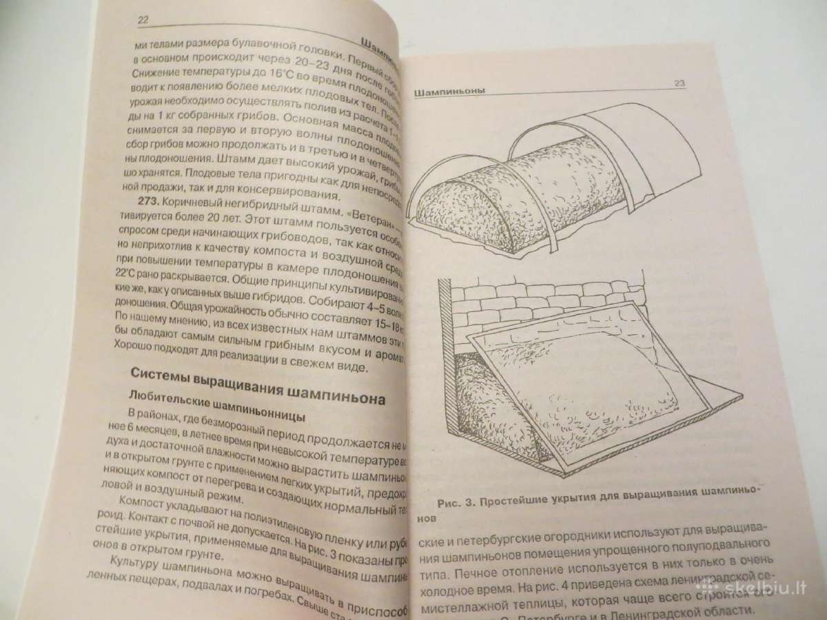 Knyga Grybų auginimas šampinjonai šiitake 2003 - nuotraukos Nr. 8