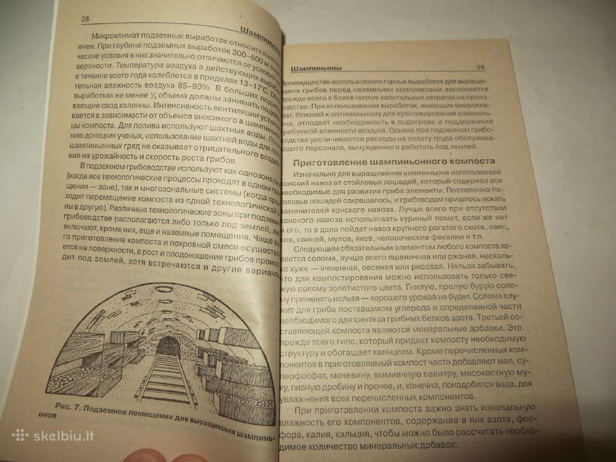Knyga Grybų auginimas šampinjonai šiitake 2003 - nuotraukos Nr. 10