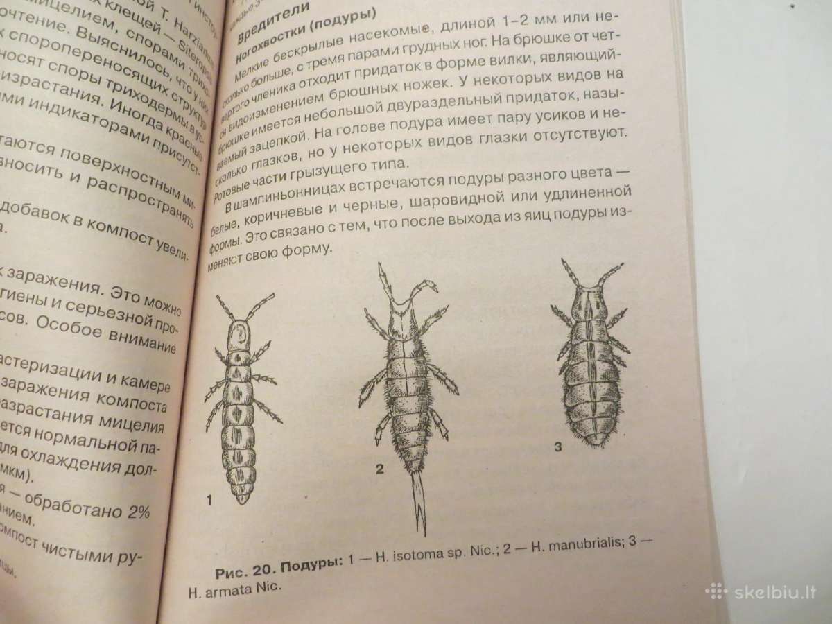 Knyga Grybų auginimas šampinjonai šiitake 2003 - nuotraukos Nr. 14