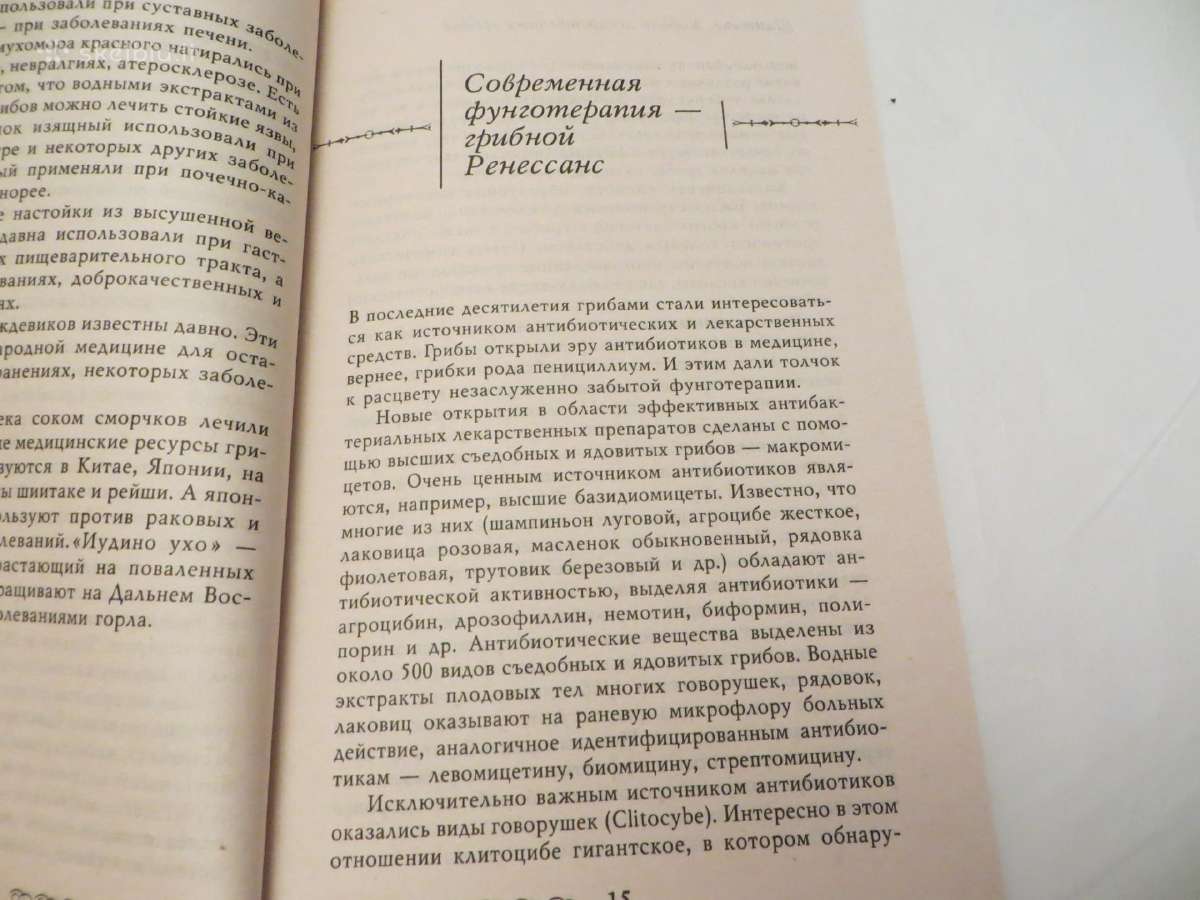 Knyga Gydomųjų grybų karalius šiitake 2003 - nuotraukos Nr. 10
