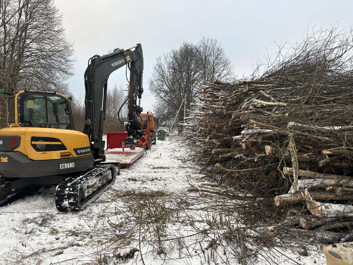 Apleistų sklypų tvarkymas,brangiai perkame biokurą - nuotraukos Nr. 3