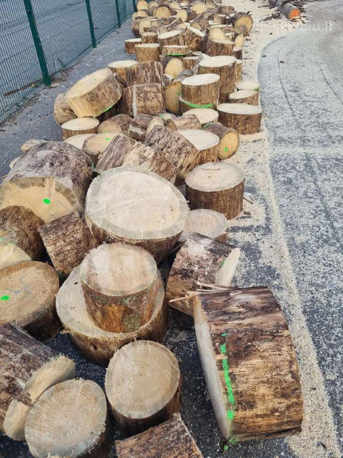 Akcija! Malkos kaladėm. Eglė, Pušis Kaunas - nuotraukos Nr. 2