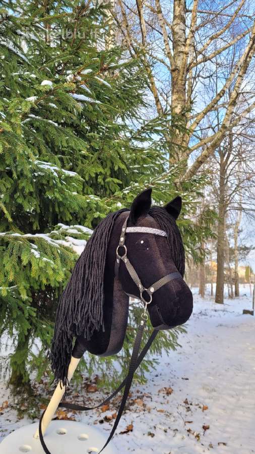 Hobby horse žaisliniai arkliukai - nuotraukos Nr. 15