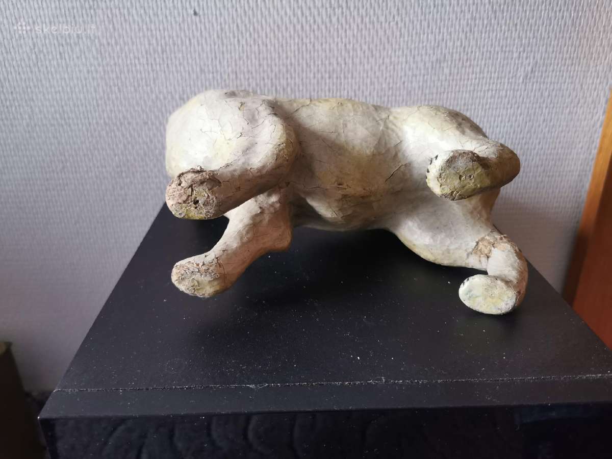Papje maše - nuotraukos Nr. 6