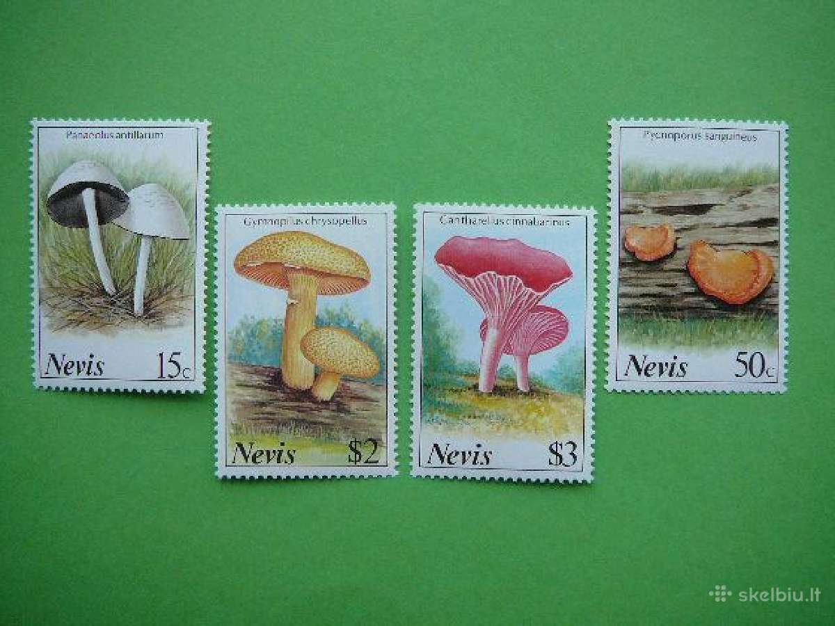 Grybai Nevis 1987 Mnh nv475