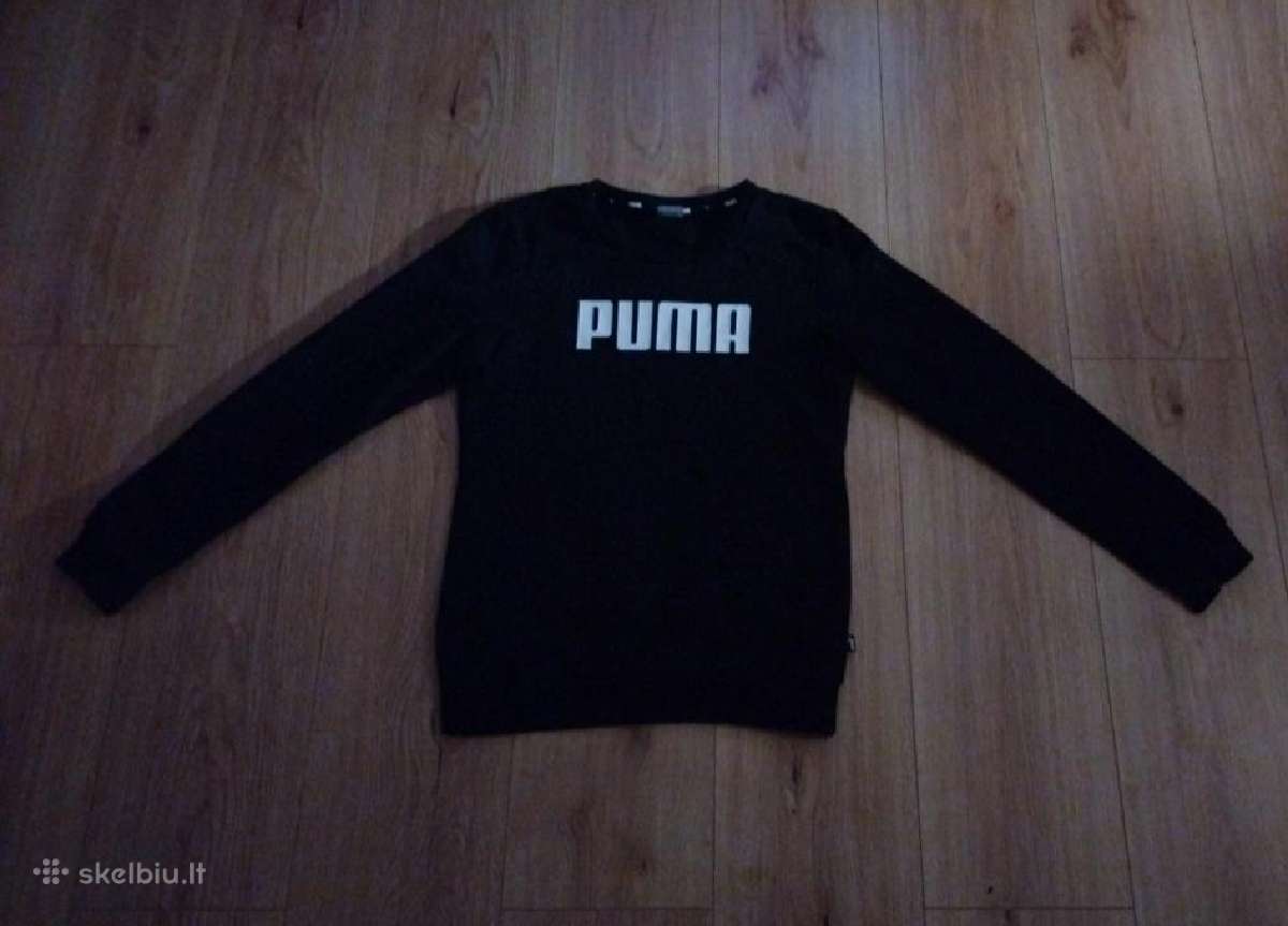Puma dzemperis