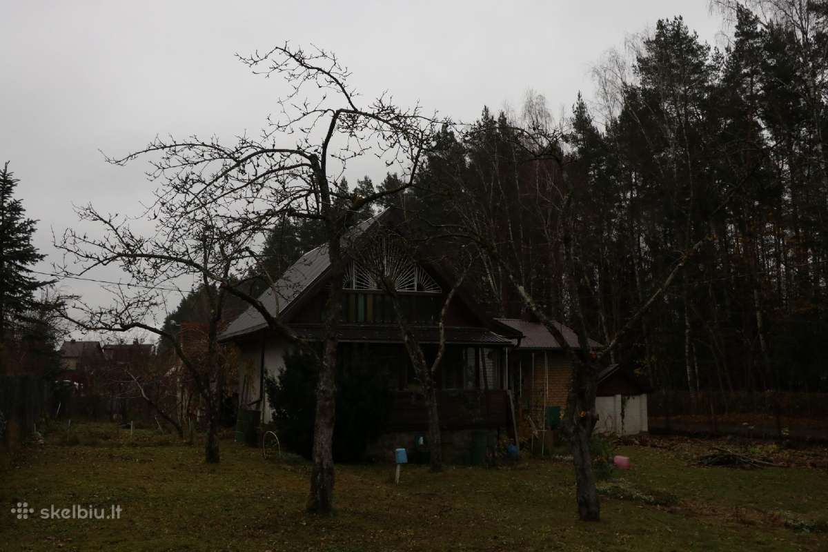 Šienavimas, medžių genėjimas, gyvatvorių karpymas - nuotraukos Nr. 31