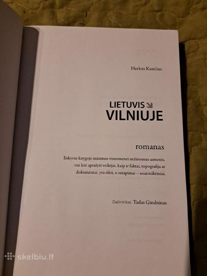 Lietuvis Vilniuje - nuotraukos Nr. 2