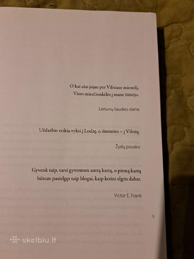 Lietuvis Vilniuje - nuotraukos Nr. 3