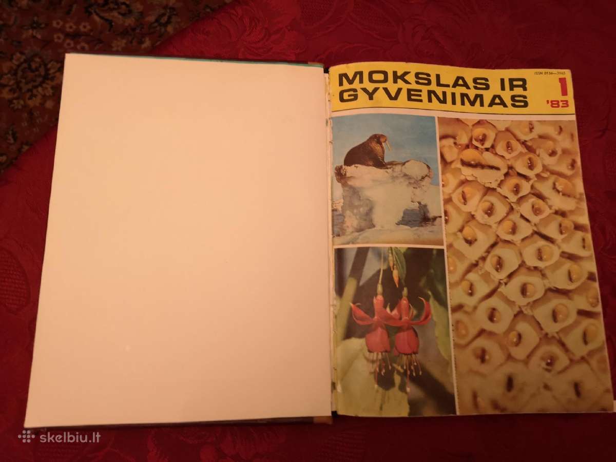 Mokslas ir gyvenimas - nuotraukos Nr. 34
