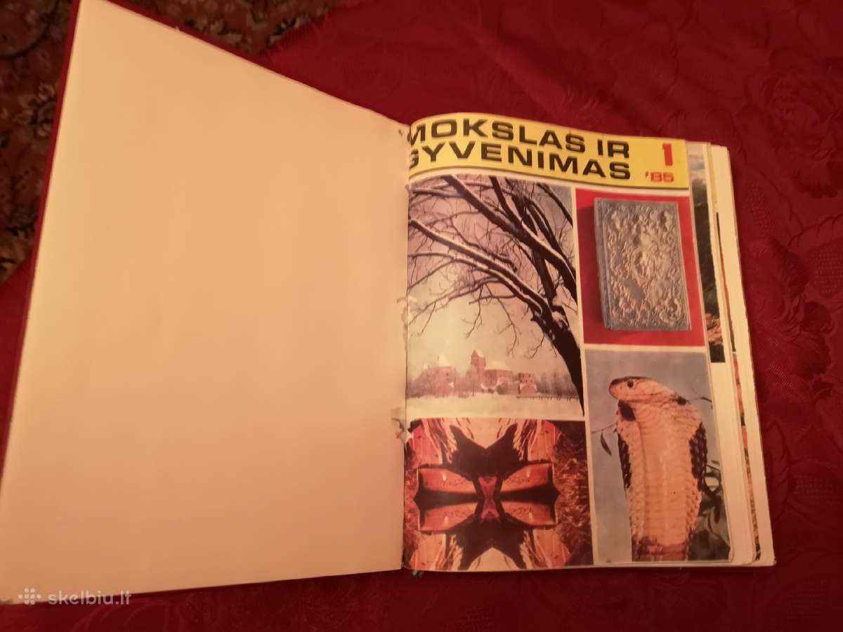 Mokslas ir gyvenimas - nuotraukos Nr. 28