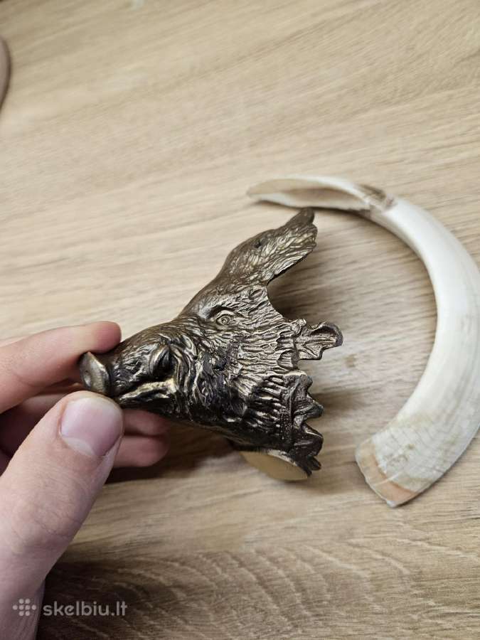 Bronzinė šerno galva iltimis - nuotraukos Nr. 7