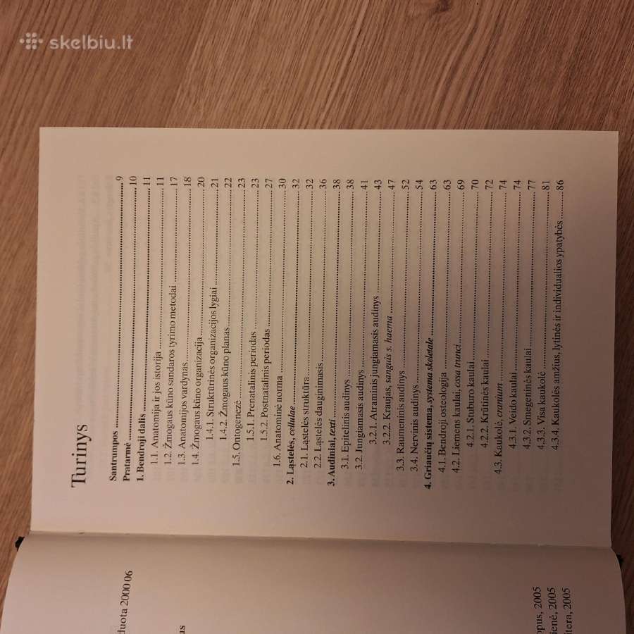Žmogaus anatomija. R.stropus - nuotraukos Nr. 2