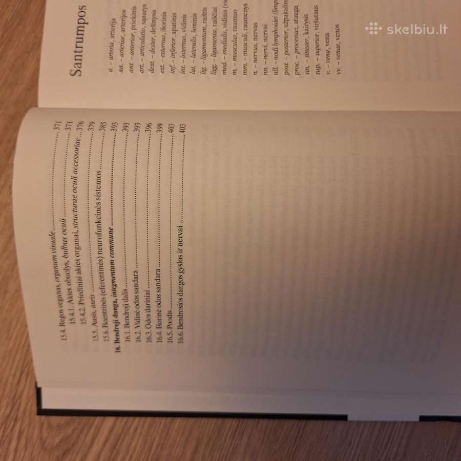 Žmogaus anatomija. R.stropus - nuotraukos Nr. 5