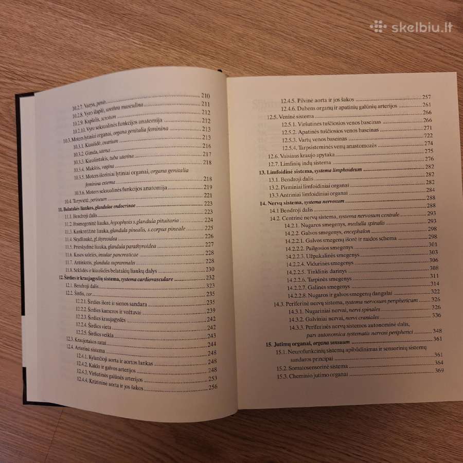 Žmogaus anatomija. R.stropus - nuotraukos Nr. 4