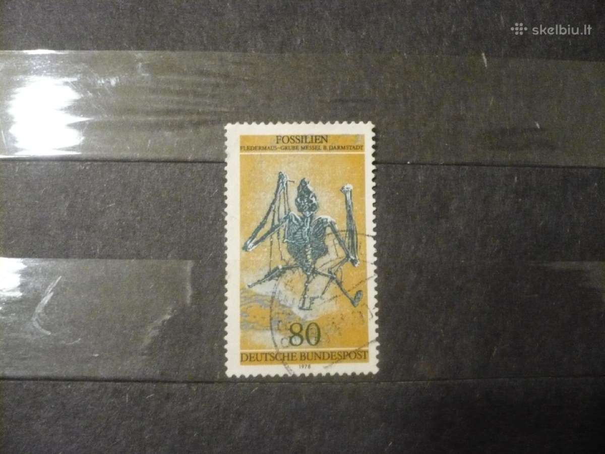 1978 m. archeologinis atradimas