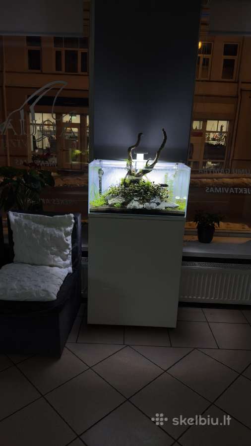 Akvariumų klijavimas, įrengimas, priežiūra - nuotraukos Nr. 25