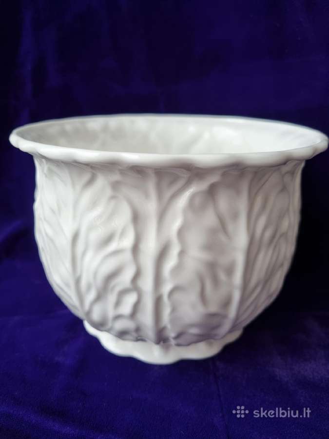 Porceliano indas