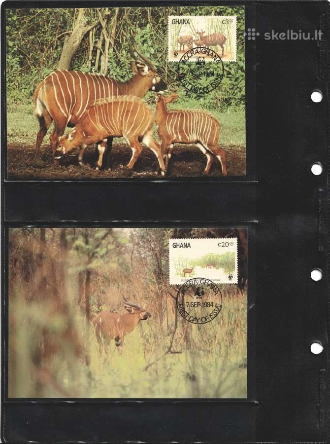 Wwf albumai - nuotraukos Nr. 2