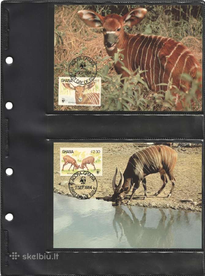 Wwf albumai - nuotraukos Nr. 3