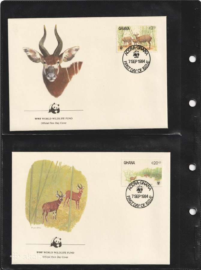 Wwf albumai - nuotraukos Nr. 4