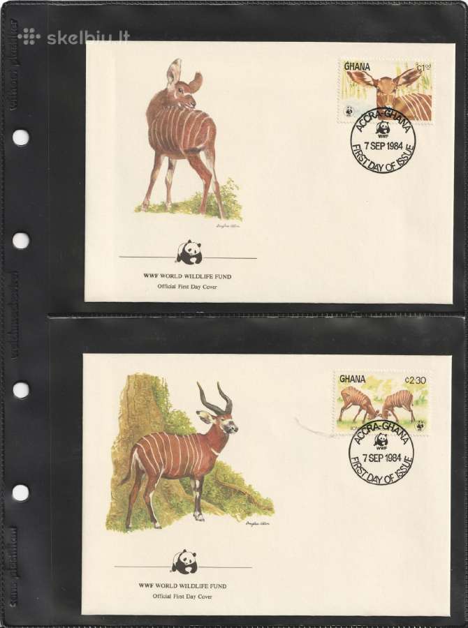Wwf albumai - nuotraukos Nr. 5