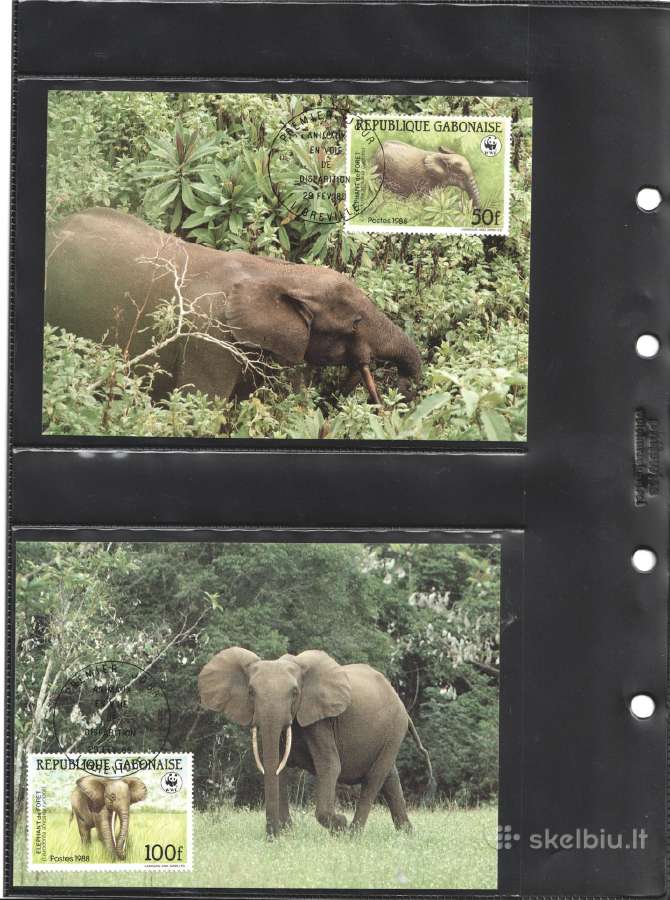Wwf albumai - nuotraukos Nr. 6