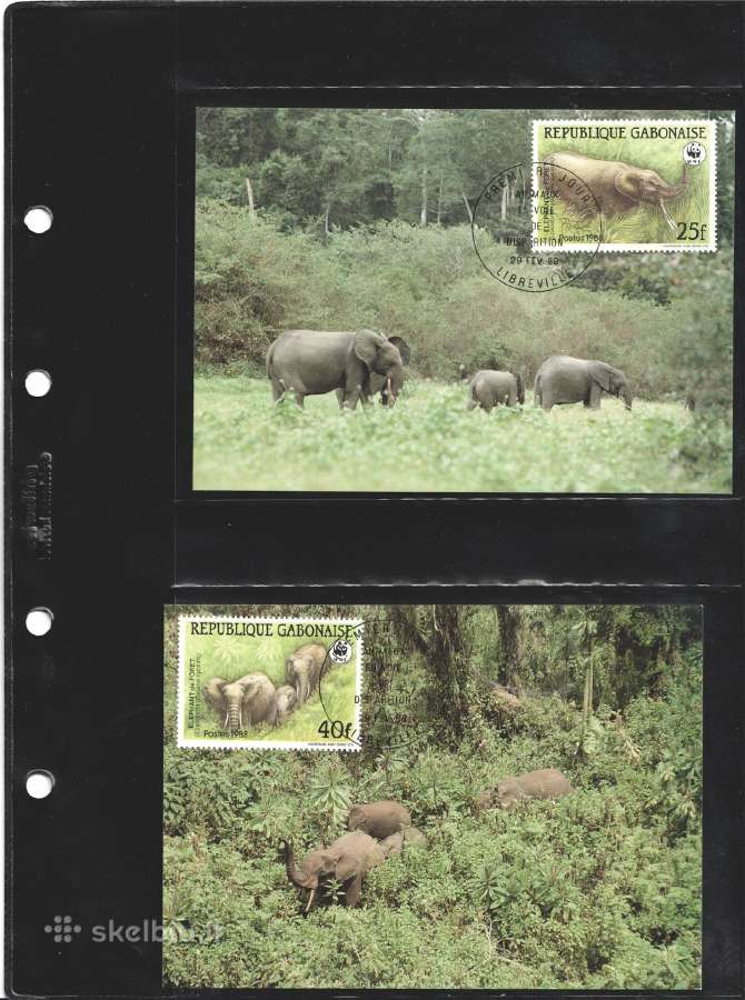 Wwf albumai - nuotraukos Nr. 7