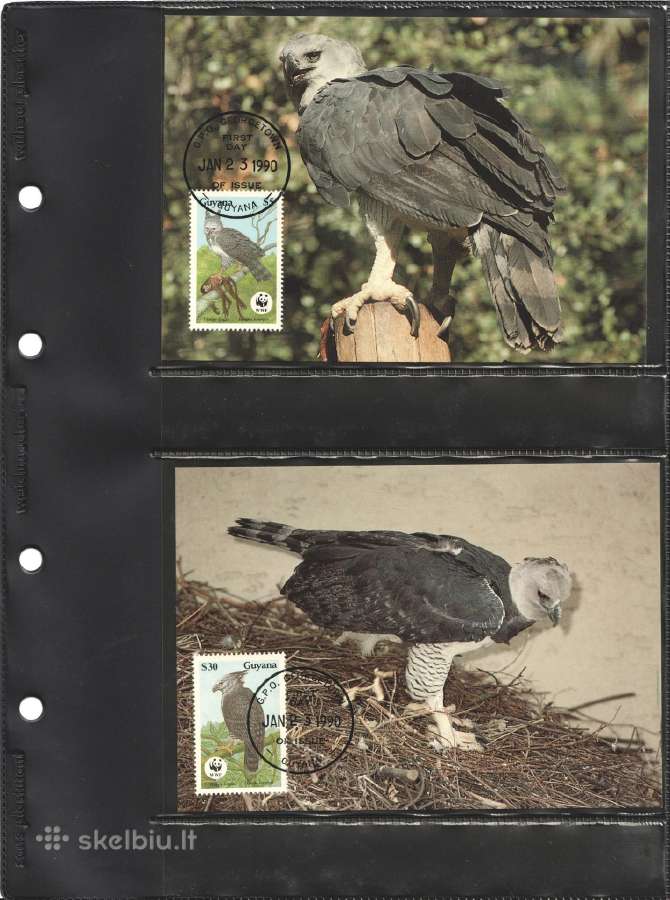 Wwf albumai - nuotraukos Nr. 11