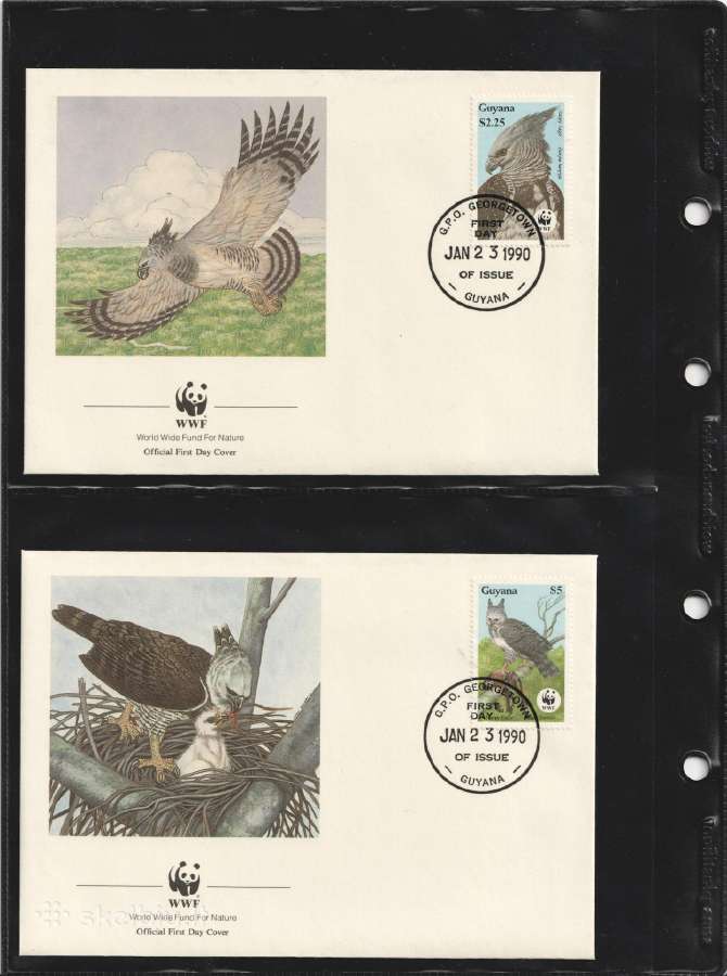 Wwf albumai - nuotraukos Nr. 12