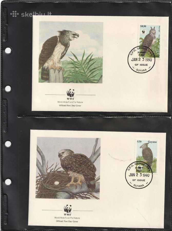 Wwf albumai - nuotraukos Nr. 13