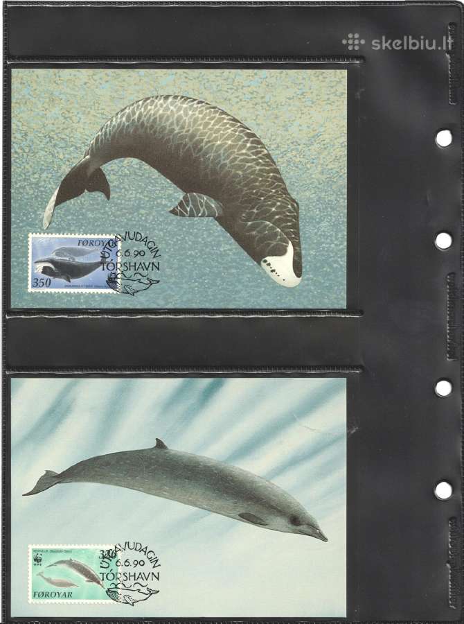 Wwf albumai - nuotraukos Nr. 14