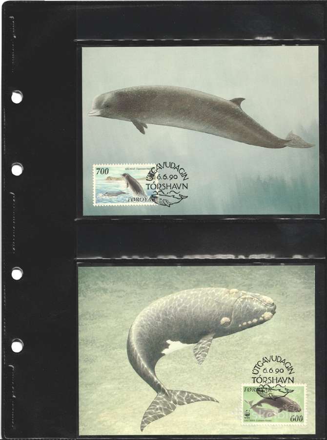 Wwf albumai - nuotraukos Nr. 15