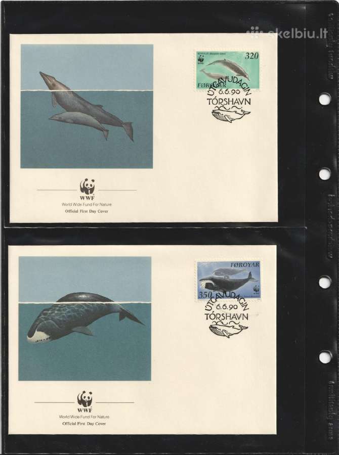 Wwf albumai - nuotraukos Nr. 16