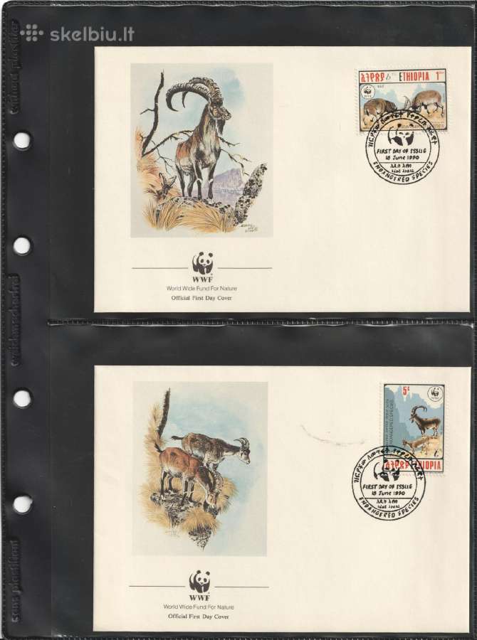 Wwf albumai - nuotraukos Nr. 21