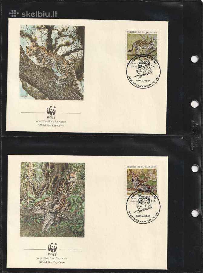 Wwf albumai - nuotraukos Nr. 24